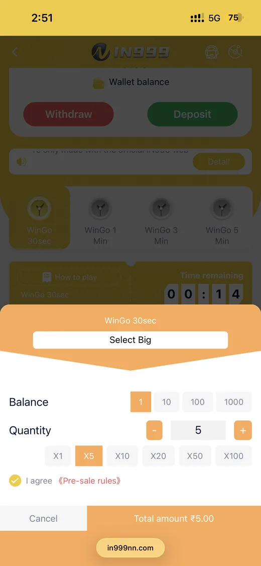 IN999 WinGo bet placement screen showing stake and quantity